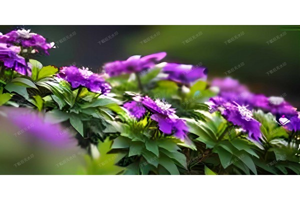 13. 武汉按摩馆推荐，享受专业按摩服务